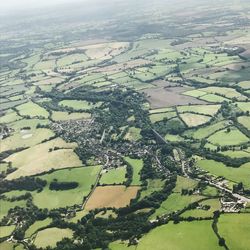 Aerial view of agricultural field