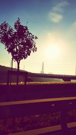 Trees against sky at sunset