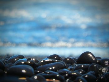 Close-up of pebbles