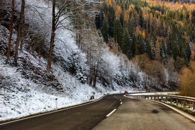 Road amidst trees during winter