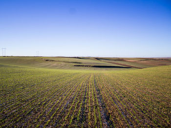 Green steep field and bluish sky