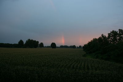 Scenic view of rural landscape