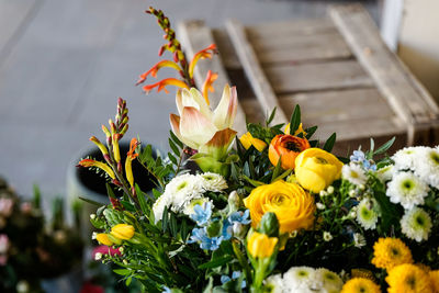 Close-up of yellow flowering plant