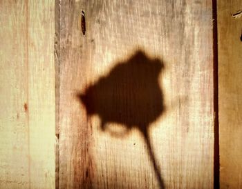 Close-up of shadow on wall