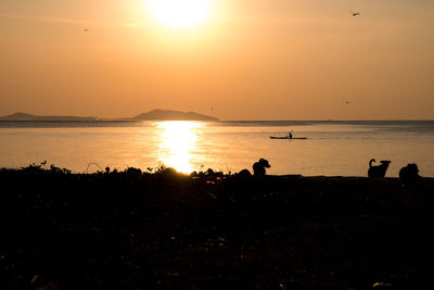 Scenic view of sunset over sea