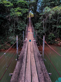 View of bridge in forest