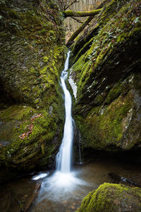 Scenic view of waterfall in forest