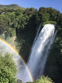 Scenic view of rainbow over trees against sky