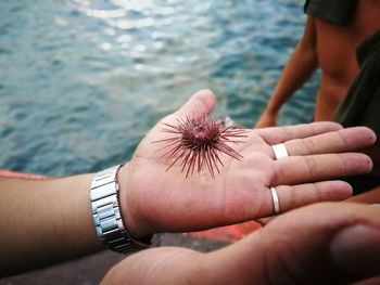 Close-up of hand holding hands over sea