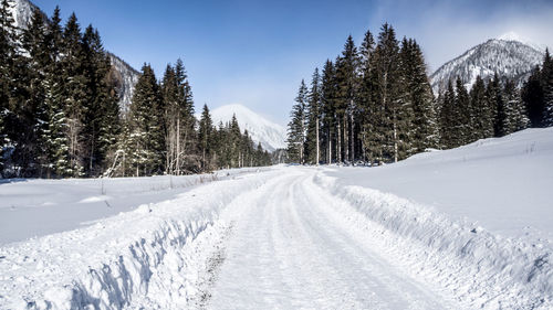 Snow covered land and trees against sky