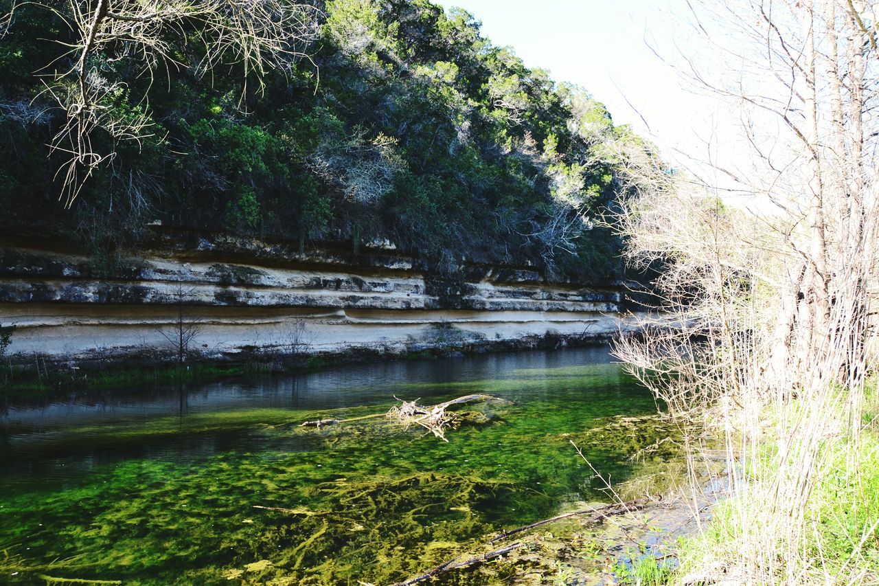 water, tree, tranquility, nature, beauty in nature, tranquil scene, growth, scenics, grass, forest, plant, branch, day, motion, river, idyllic, sunlight, lake, non-urban scene, outdoors