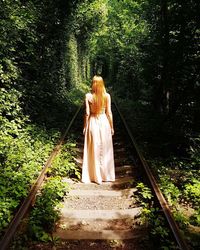 Rear view of woman standing in forest