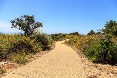 Dirt road amidst trees against clear sky