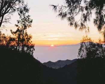 Scenic view of sea at sunset