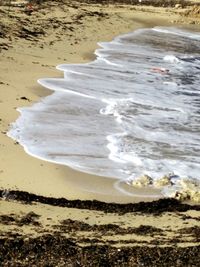 Scenic view of beach