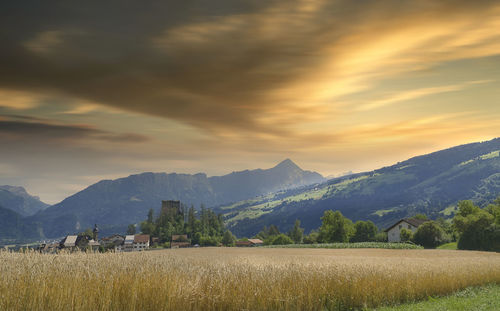 Scenic view of field against sky during sunset