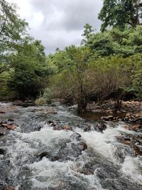 River flowing through rocks in forest against sky