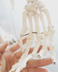 Cropped hand of woman holding human skeleton