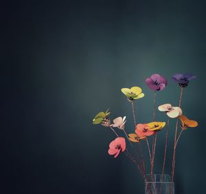 Close-up of flowering plant against white background