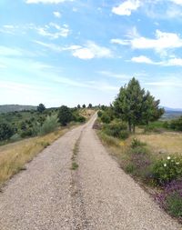 Dirt road amidst field against sky