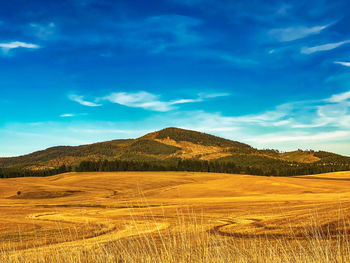 Idaho hay field