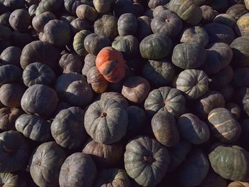 Full frame shot of onions for sale at market