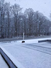 Snow covered park against sky