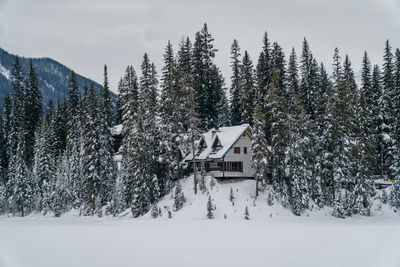 Wooden cabin surrounded by snow-covered landscape and pines with distant mountains.