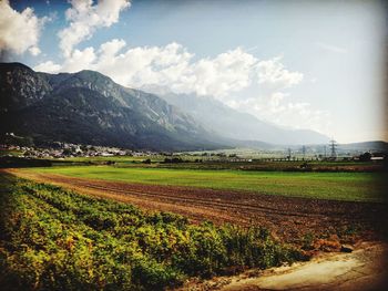 Scenic view of agricultural field against sky