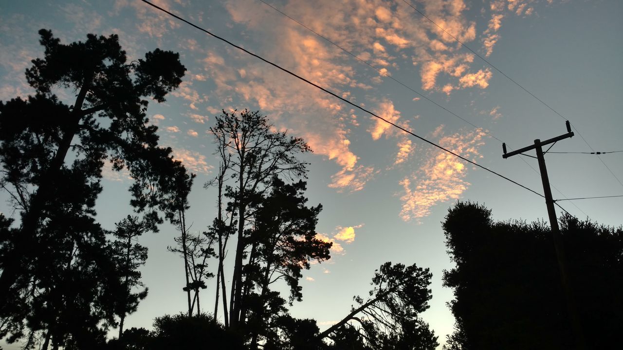 LOW ANGLE VIEW OF SILHOUETTE TREE AGAINST SKY