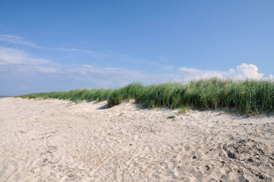 A beautiful day in the dunes