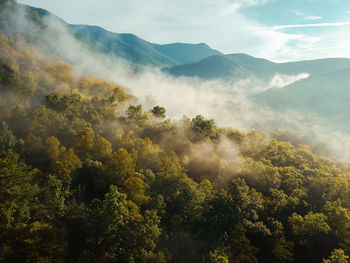 Scenic view of tree mountains against sky