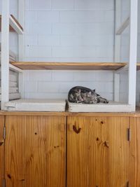 Close-up of wooden door