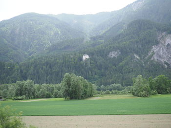 Scenic view of trees on field against mountains