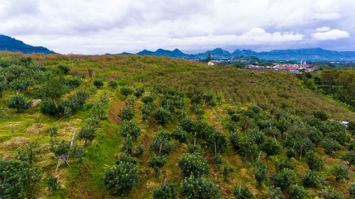 Scenic view of landscape against sky