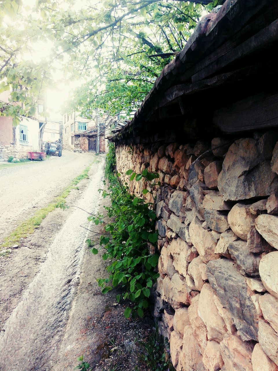 built structure, the way forward, architecture, building exterior, plant, tree, wall - building feature, growth, sunlight, day, footpath, diminishing perspective, walkway, outdoors, no people, house, narrow, nature, stone wall, pathway