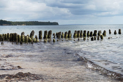 Wooden posts in sea against sky