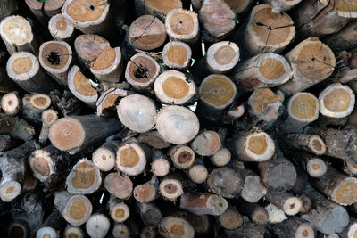 Full frame shot of logs in forest