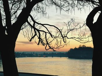 Silhouette bare tree by lake against sky during sunset