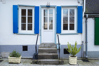 Potted plants outside building