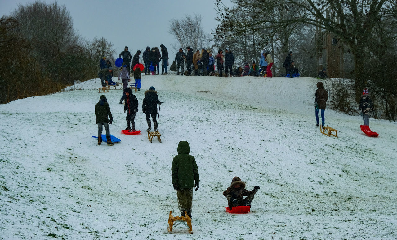 winter, snow, cold temperature, group of people, tree, large group of people, nature, leisure activity, plant, crowd, warm clothing, sports, men, winter sports, lifestyles, women, day, childhood, child, holiday, land, enjoyment, fun, footwear, clothing, vacation, trip, outdoors, sled, sledding, mixed age range