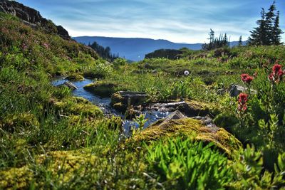 Scenic view of lake against sky