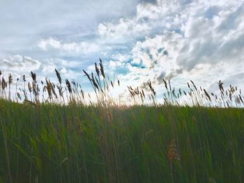 Scenic view of field against cloudy sky