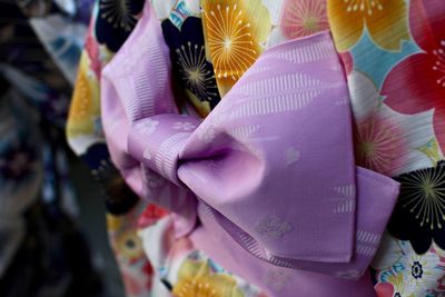 Close-up of multi colored flower