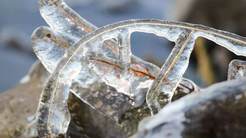 Close-up of icicles on rock