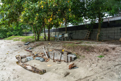 Plants growing on field against trees