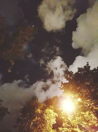 Low angle view of trees against sky