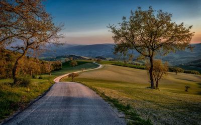 Empty road amidst field during sunset