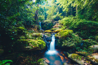 Waterfall in forest