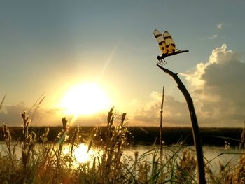 Scenic view of lake against sky during sunset